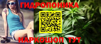 дживик Новозыбков