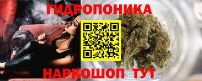 дживик Новозыбков