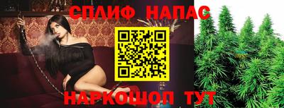 СК Новокубанск