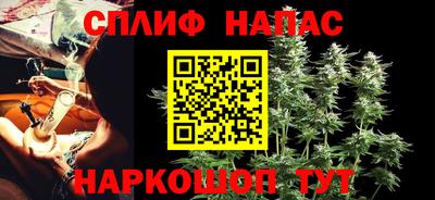 СК Новокубанск