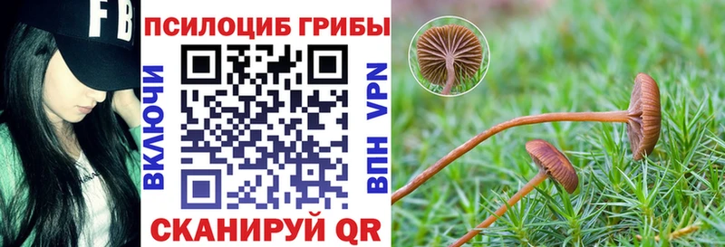 Псилоцибиновые грибы Cubensis  Старая Купавна 
