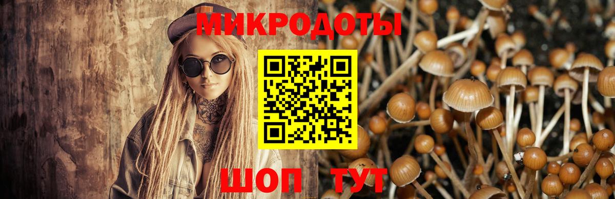 Псилоцибиновые грибы Cubensis Старая Купавна