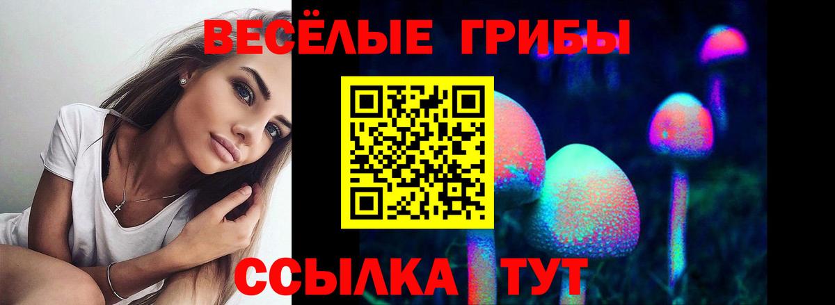 Псилоцибиновые грибы ЛСД  Вход с VPN  Старая Купавна 